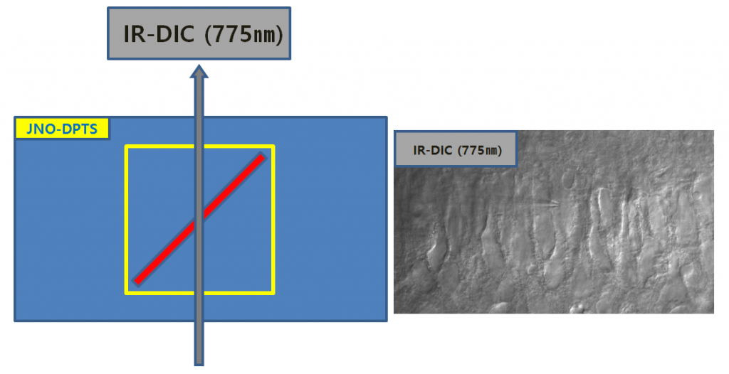 One Way((IR-DIC 775nm)