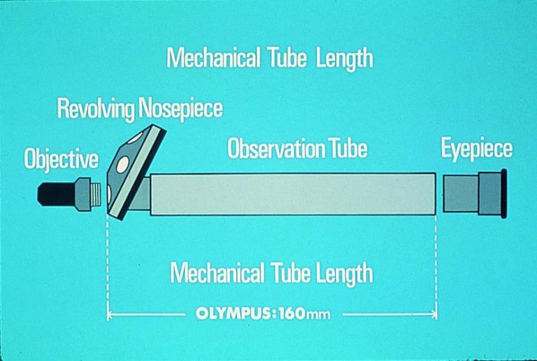 Basics of Microscopy(P04) - (주) 제이엔옵틱