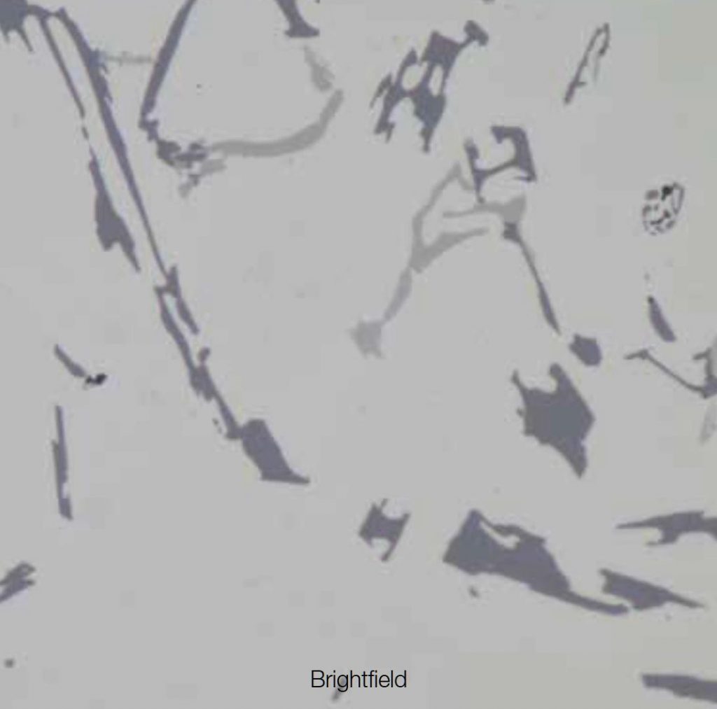 Bright Filed Image with BX53M