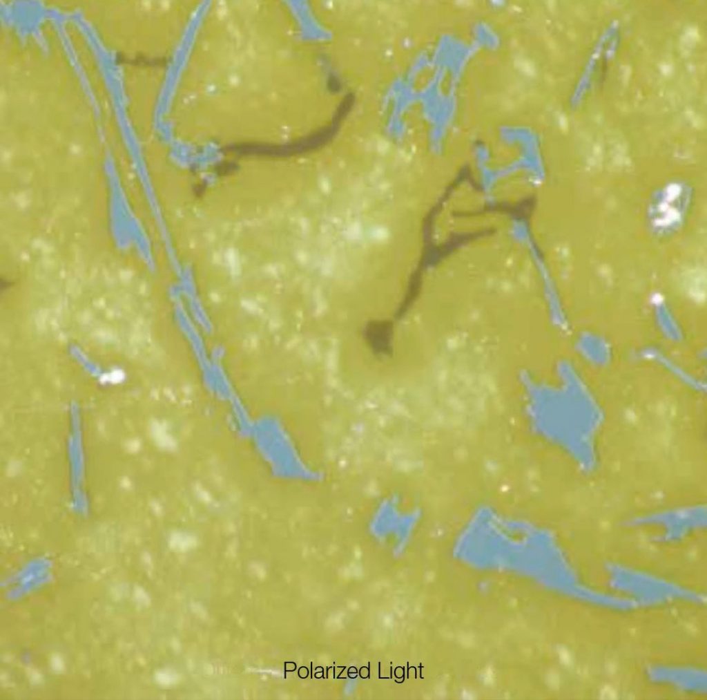 Simple Polarized Image with BX53M