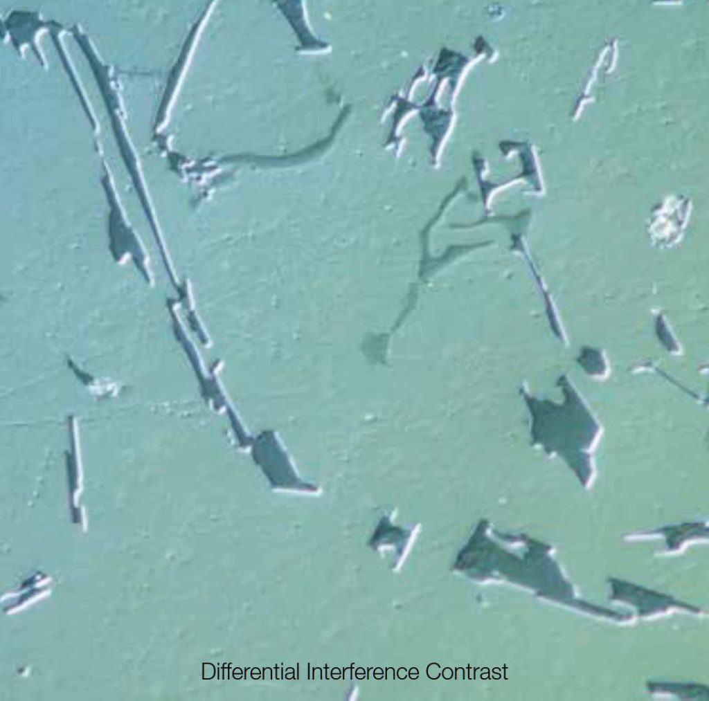 DIC Image with BX53M