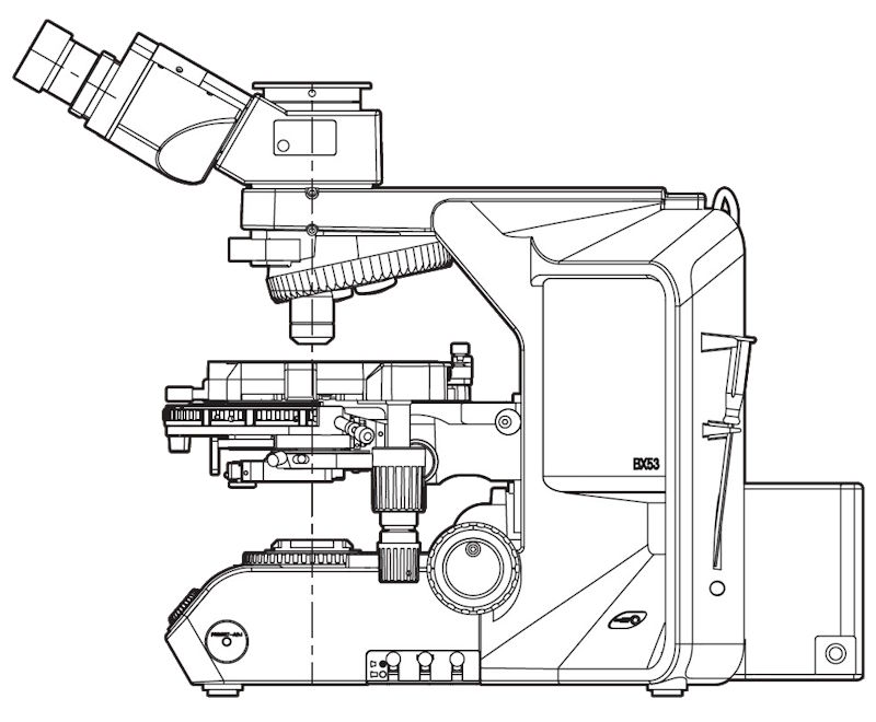 Body Frame for Asbestos