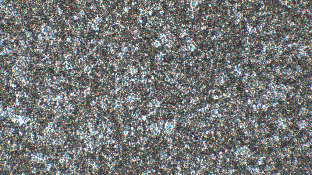 유기 자외선 차단제 로션 유화입자 이미지