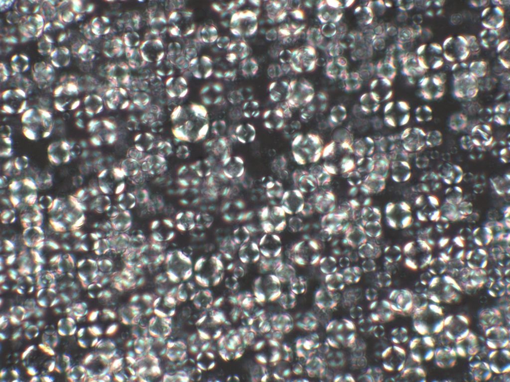 유화 크림의 액정 이미지